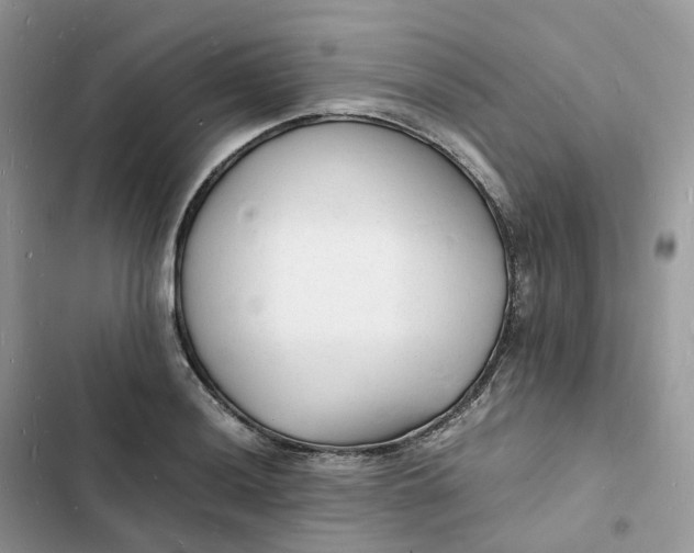 X0000103291036200809191825