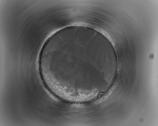 X0000103291037200809191825