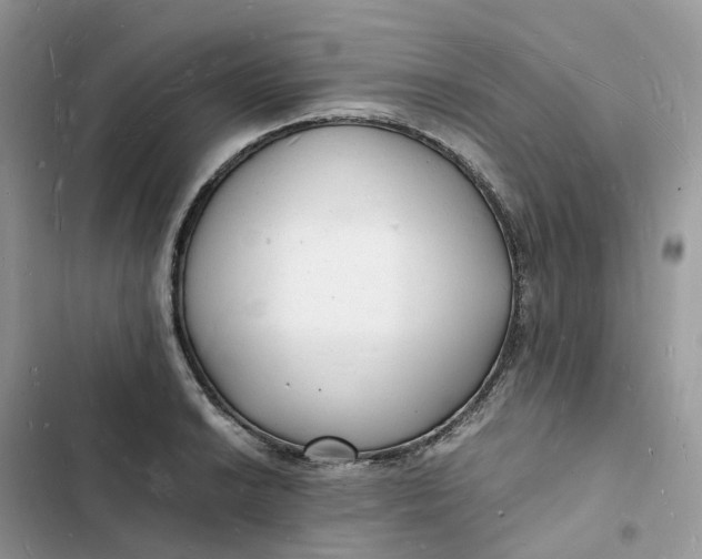 X0000103291038200809191825