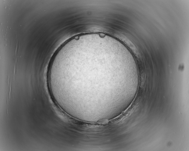 X0000103291039200809191825