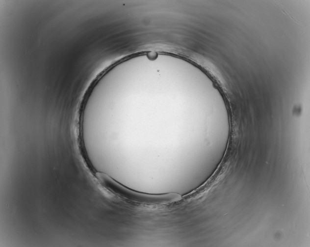 X0000103291040200809191825