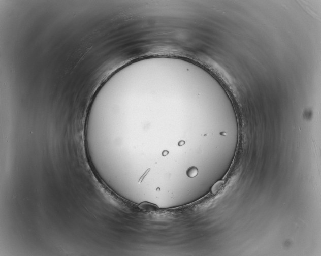 X0000103291041200809191825