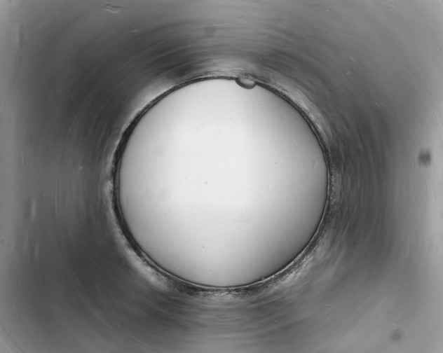 X0000103291042200809191825