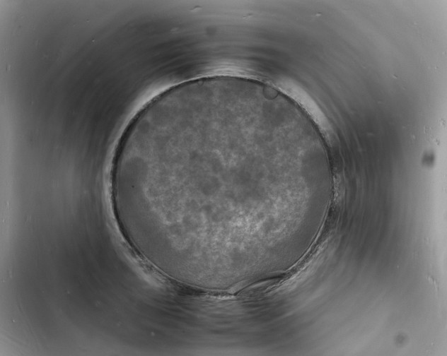 X0000103291043200809191825