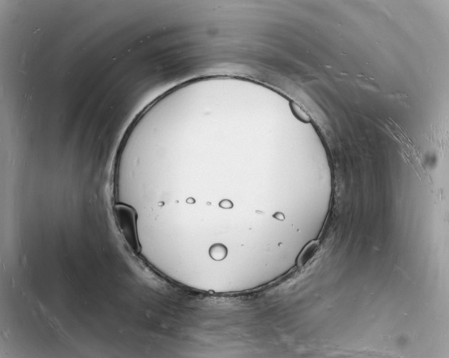 X0000103291044200809191825