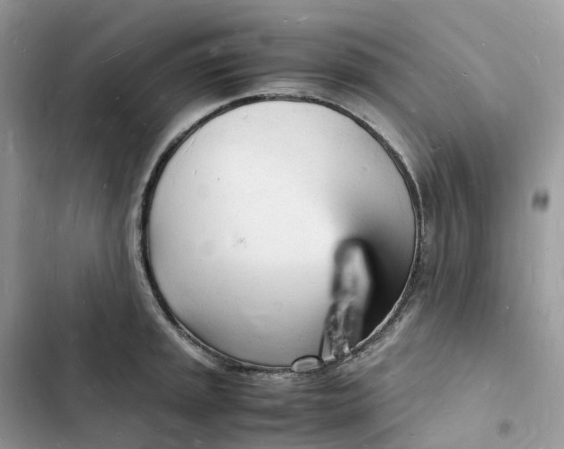 X0000103291045200809191825