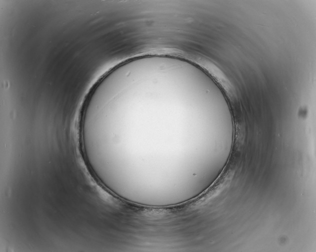 X0000103291046200809191825