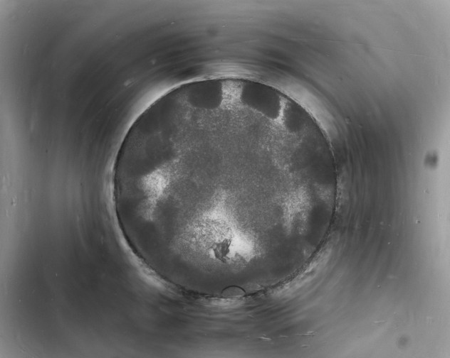 X0000103291047200809191825