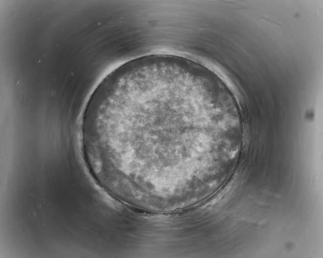 X0000103291048200809191825