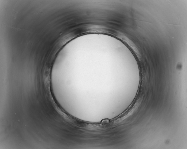 X0000103291049200809191825