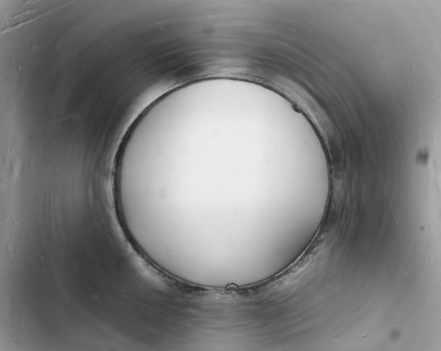 X0000103291050200809191825