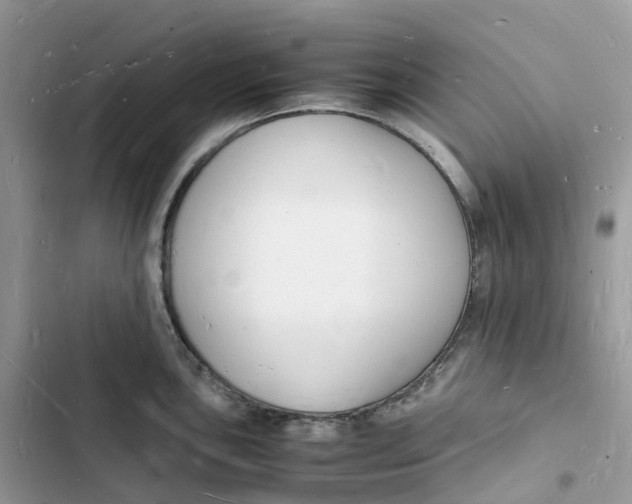 X0000103291051200809191825