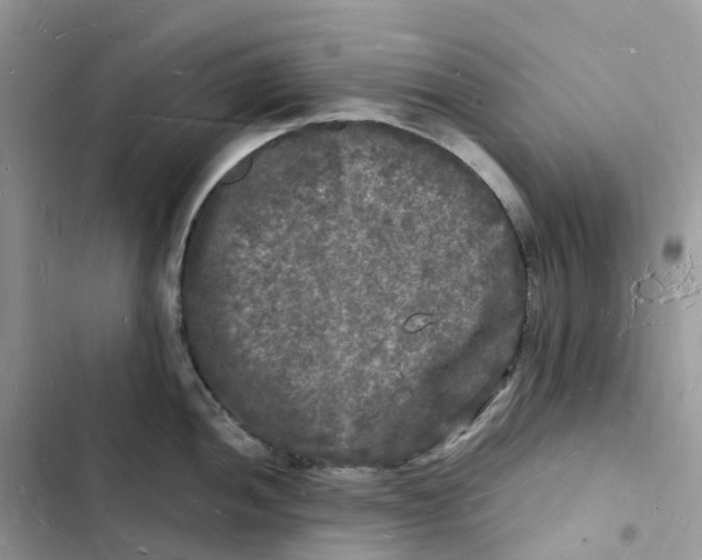 X0000103291052200809191825