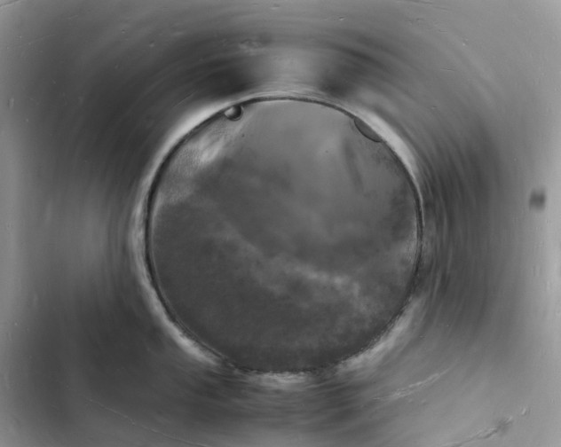 X0000103291053200809191825