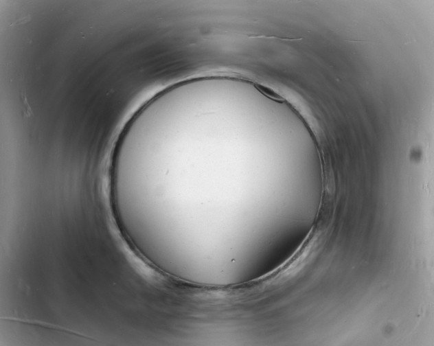 X0000103291054200809191825