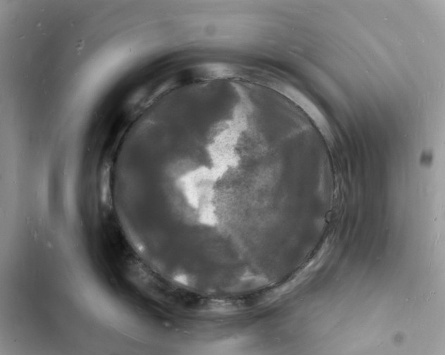 X0000103291055200809191825