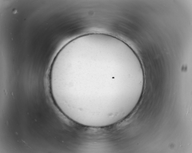 X0000103291056200809191825