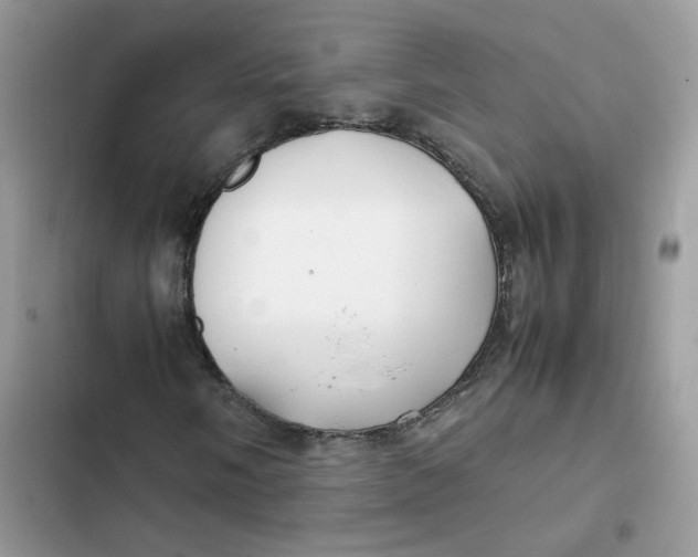 X0000103291058200809191824