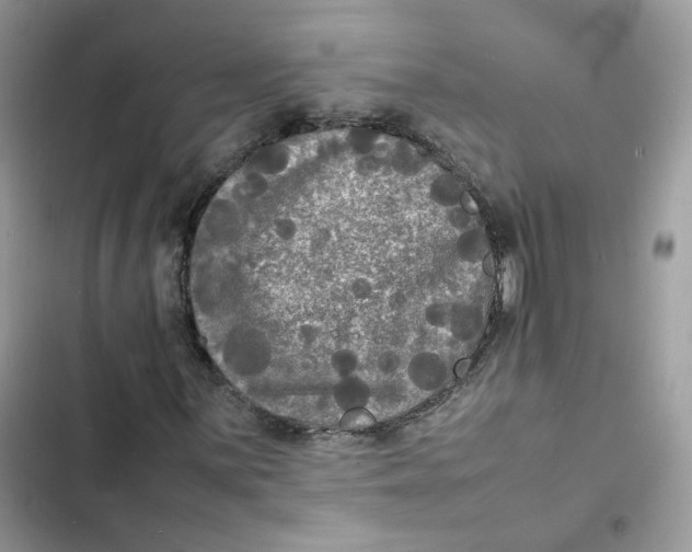 X0000103291059200809191824