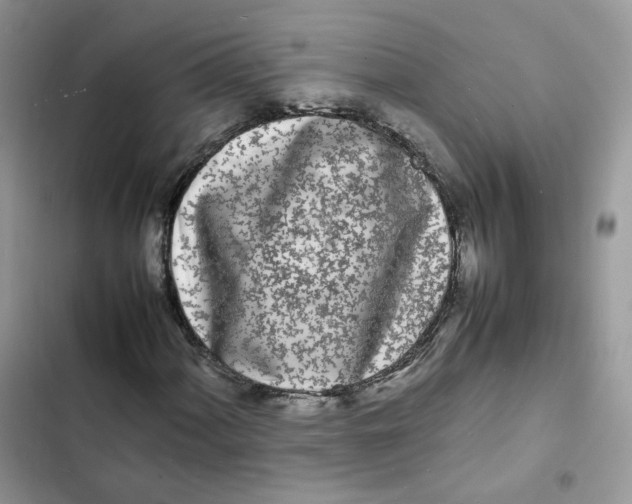 X0000103291060200809191824