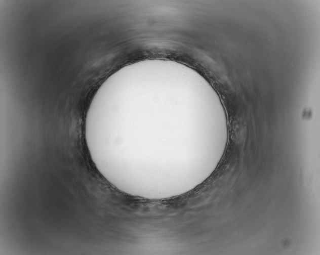 X0000103291061200809191824