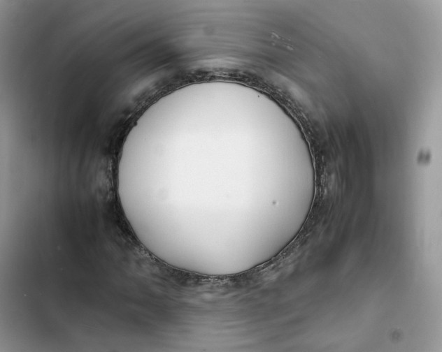 X0000103291062200809191824