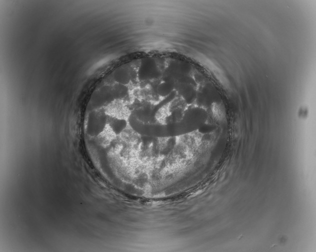 X0000103291063200809191824