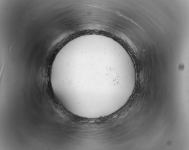 X0000103291064200809191824