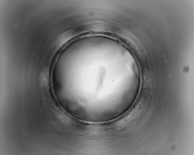 X0000103291065200809191824