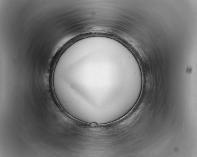 X0000103291066200809191824