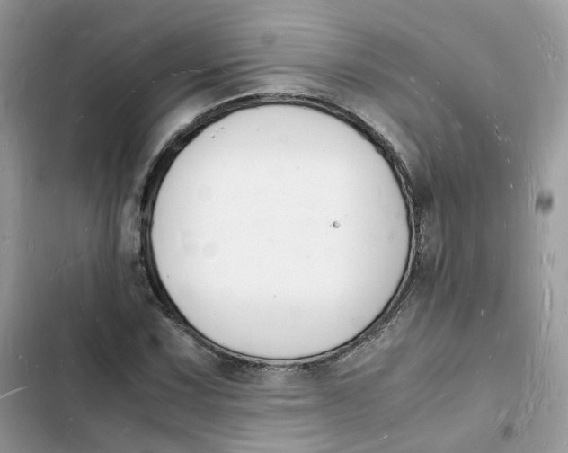 X0000103291067200809191824