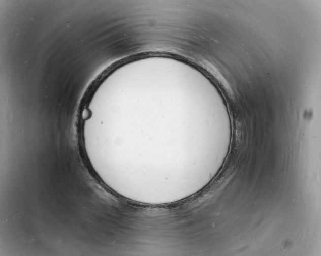 X0000103291068200809191824