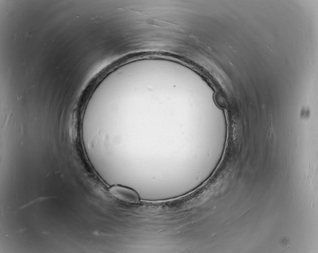 X0000103291069200809191824