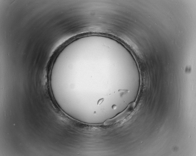 X0000103291070200809191824