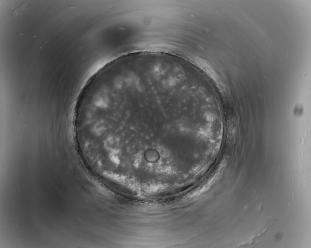 X0000103291071200809191824