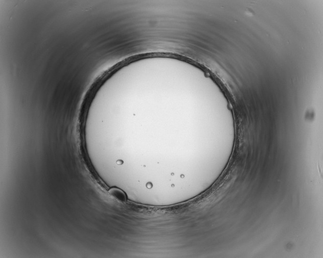 X0000103291072200809191824