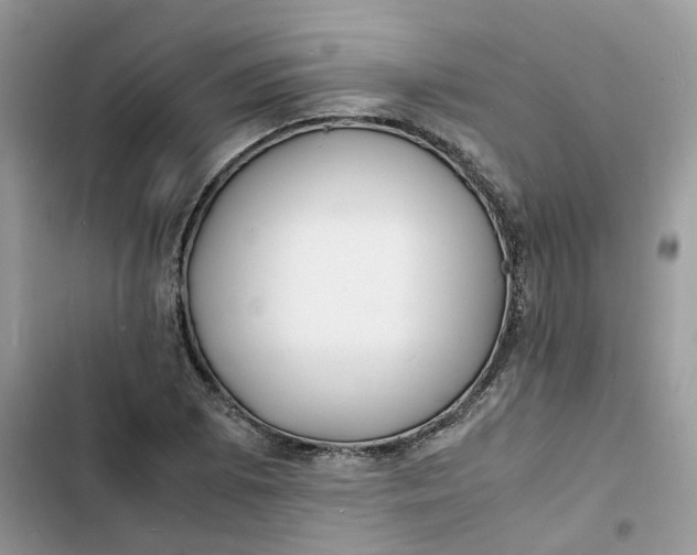 X0000103291073200809191824