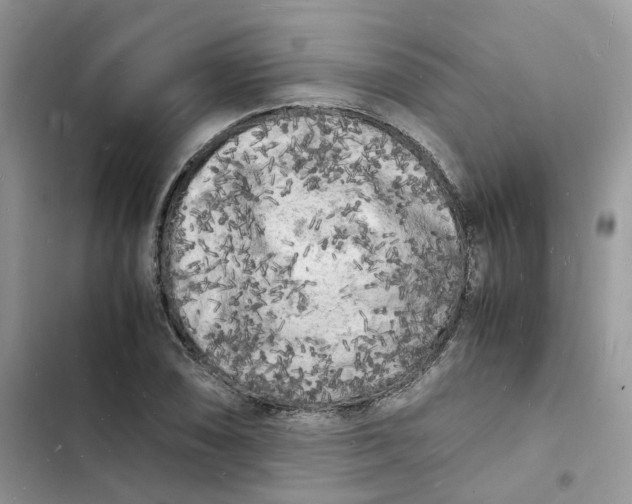 X0000103291074200809191824