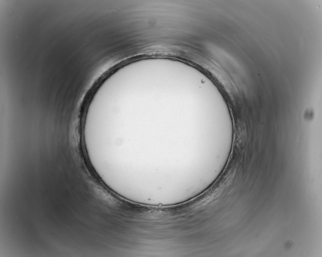 X0000103291075200809191824