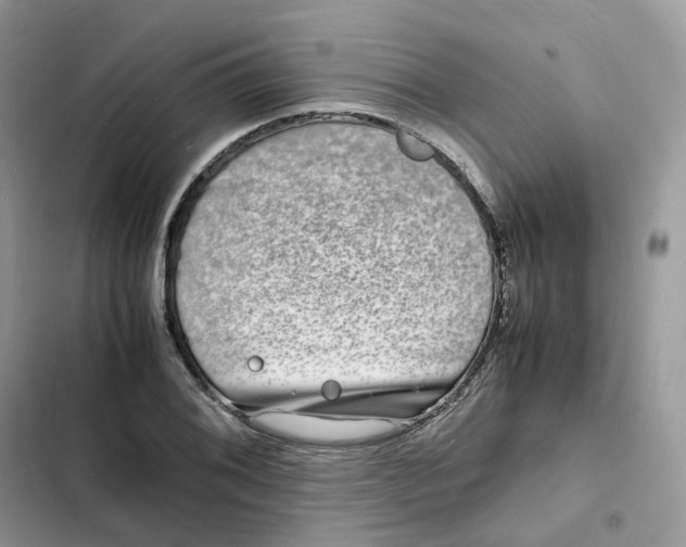 X0000103291076200809191824