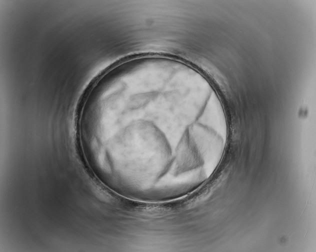 X0000103291077200809191824