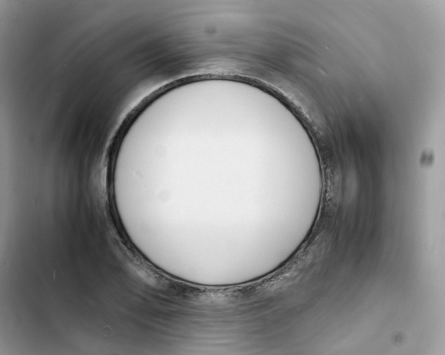 X0000103291078200809191824