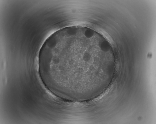 X0000103291079200809191824