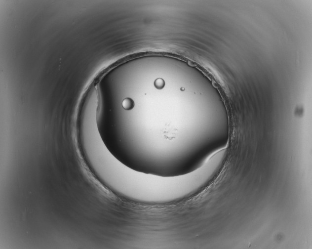 X0000103291080200809191824