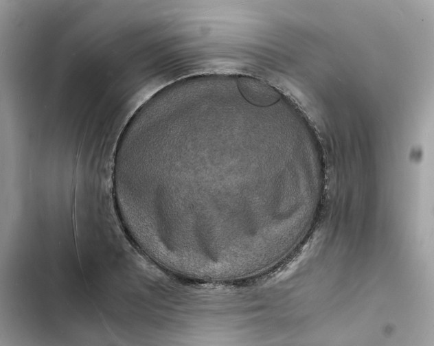 X0000103291081200809191824