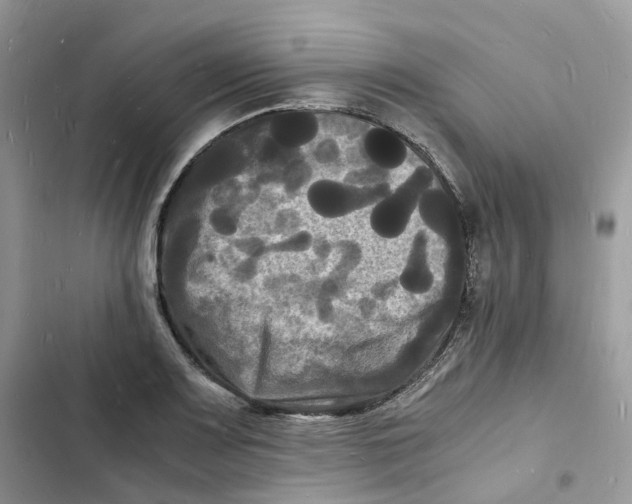 X0000103291083200809191824