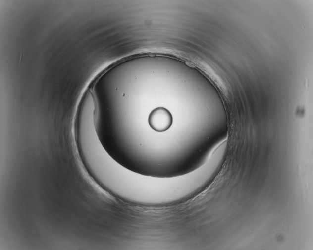 X0000103291084200809191824