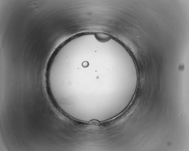 X0000103291085200809191824