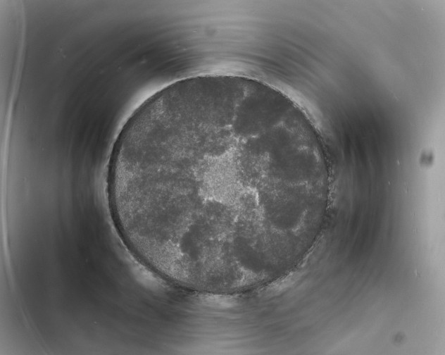 X0000103291086200809191824