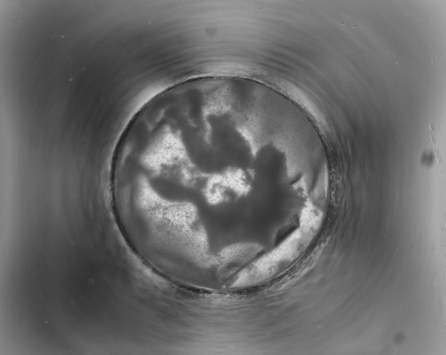 X0000103291087200809191824